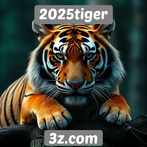 Nova análise sobre a segurança do site 2025tiger