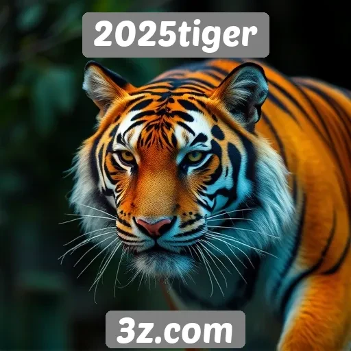 Segurança e privacidade no site 2025tiger